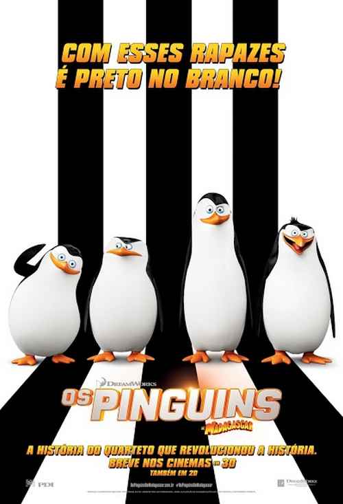 pinguins_texto